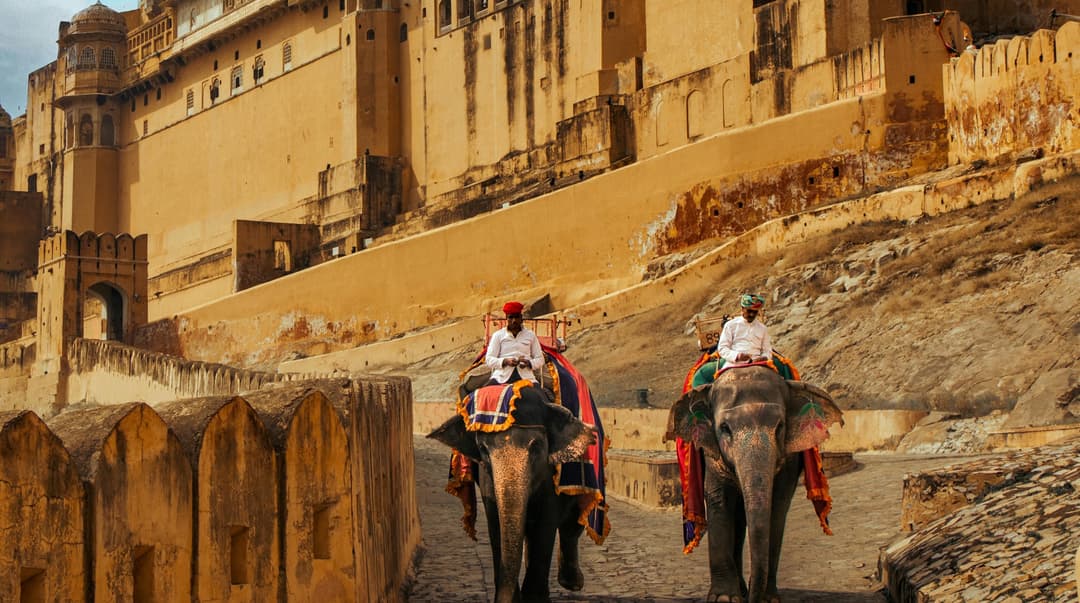 Elephant ride