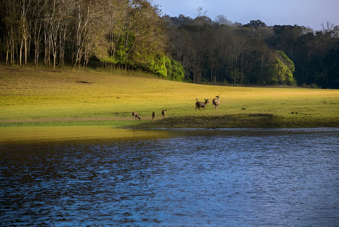 artificial lake