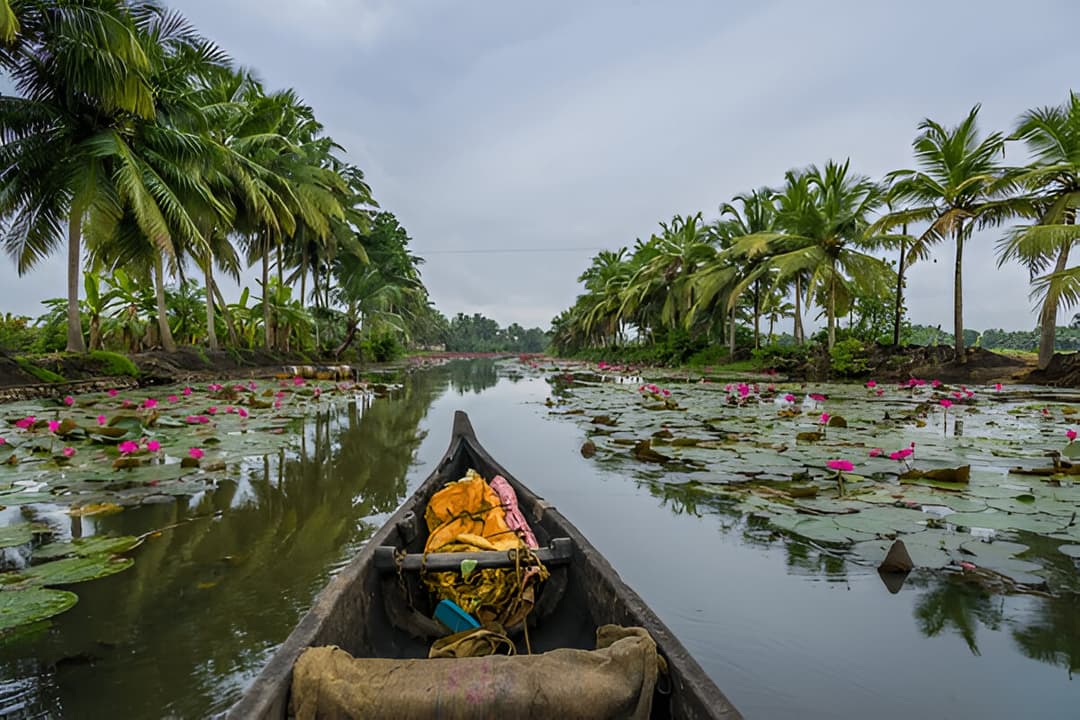 Kerala’s backwaters