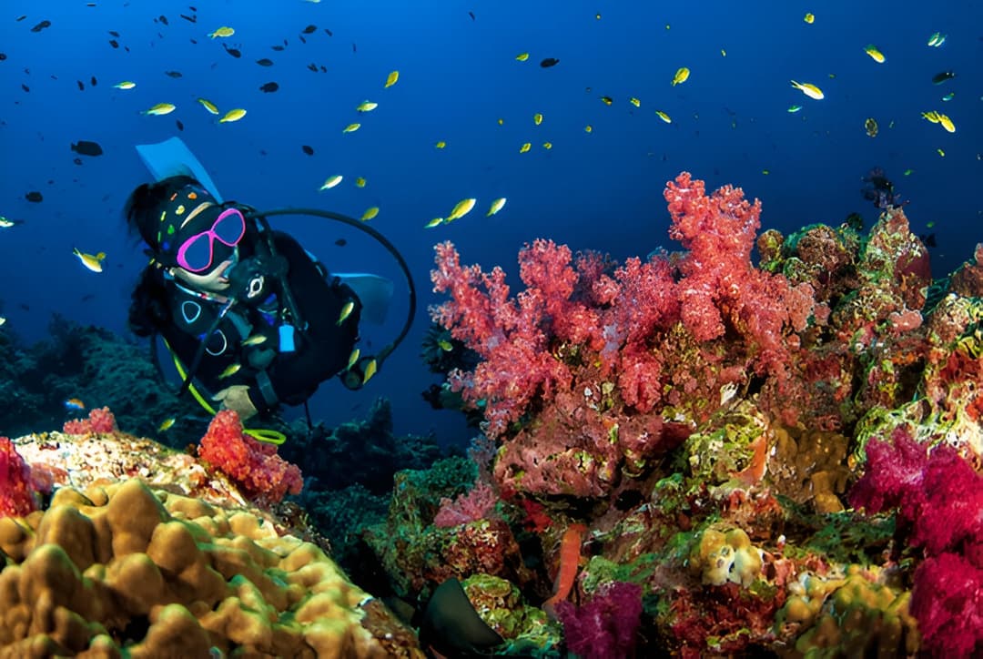 mesmerizing marine life