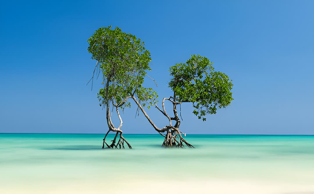 Port Blair
