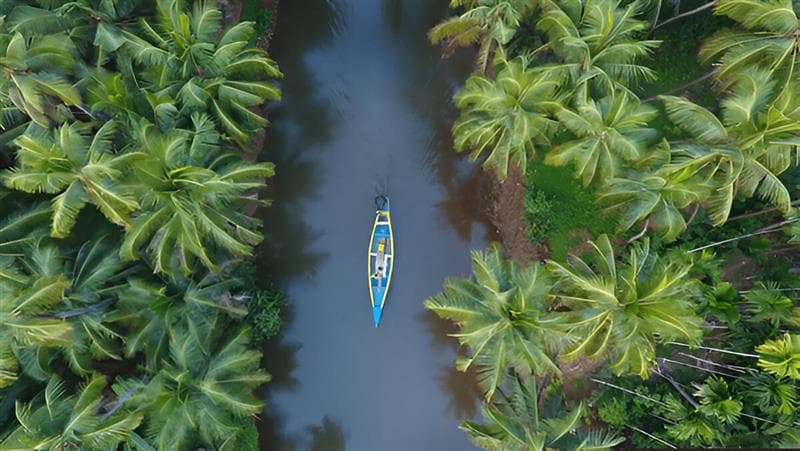 Cochin