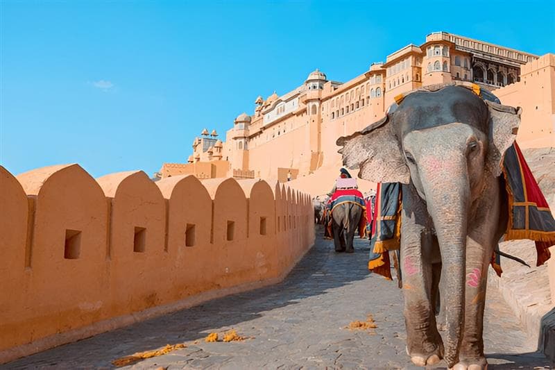 Elephant ride