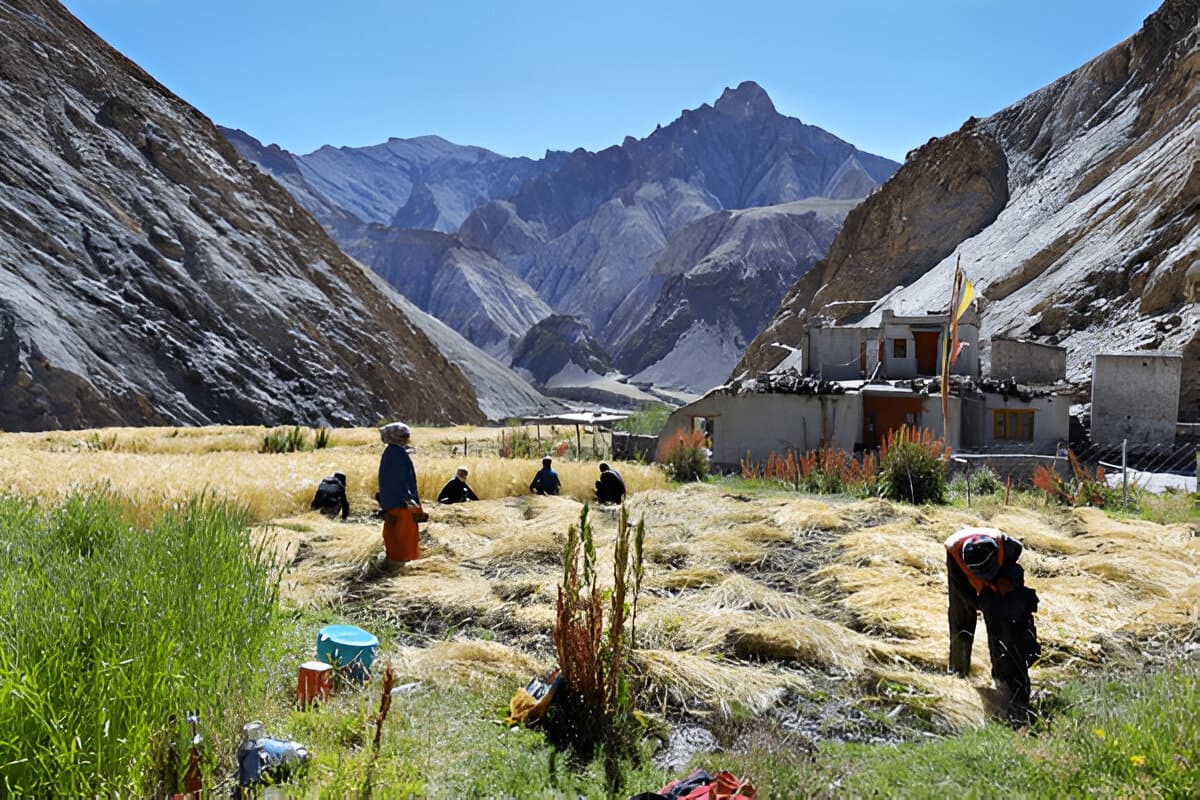 Skyu – Markha Village