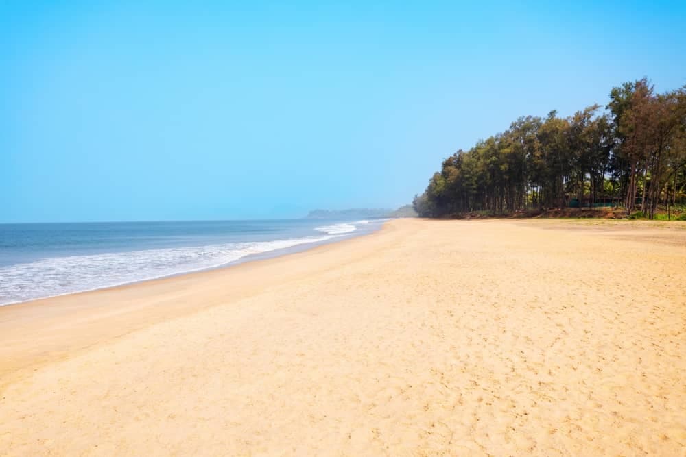 Best Times to Visit Famous Beaches in India for Clear Skies
