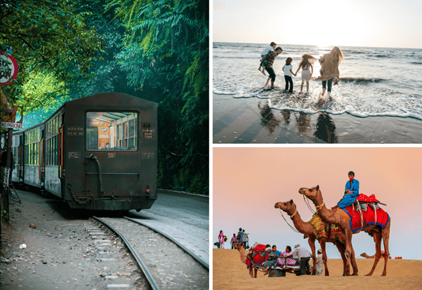 5. Family-Friendly Tours