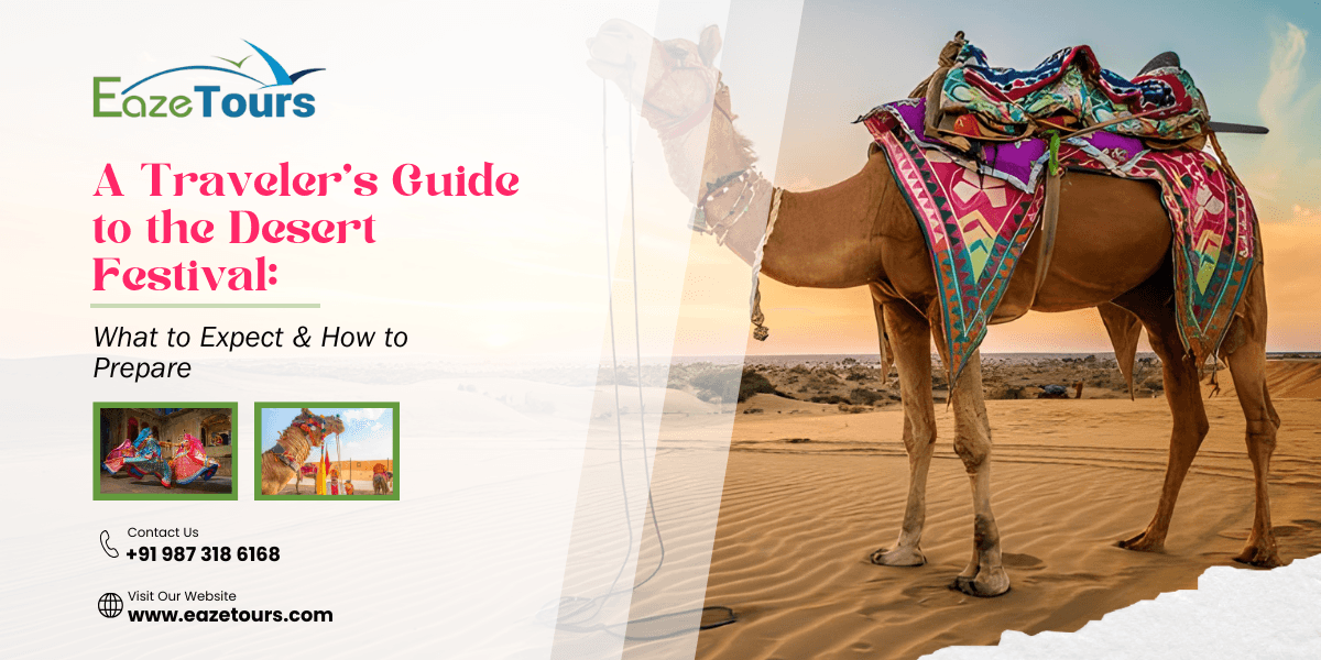 Ultimate Guide to the Desert Festival: Tips & Insights