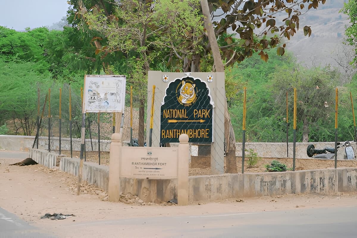 Ranthambore