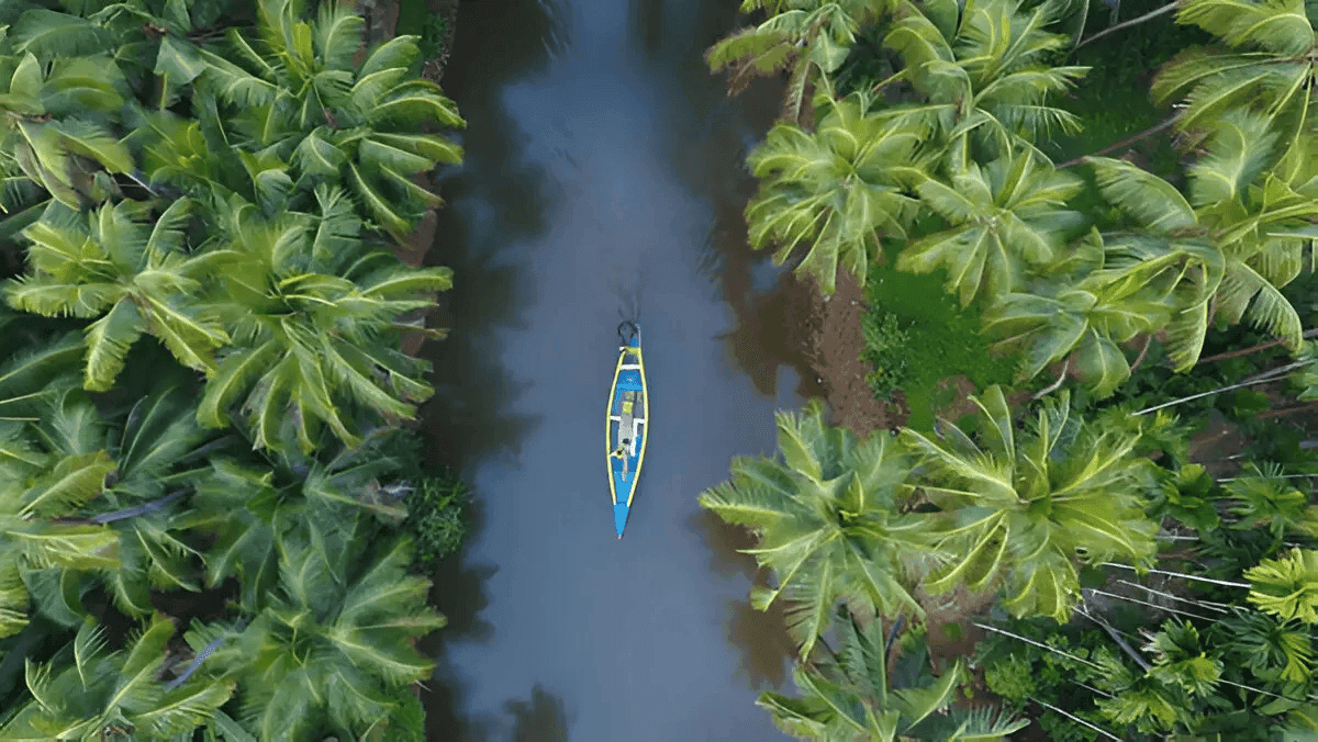 Why Kerala Leads Honeymoon Tour Packages in India